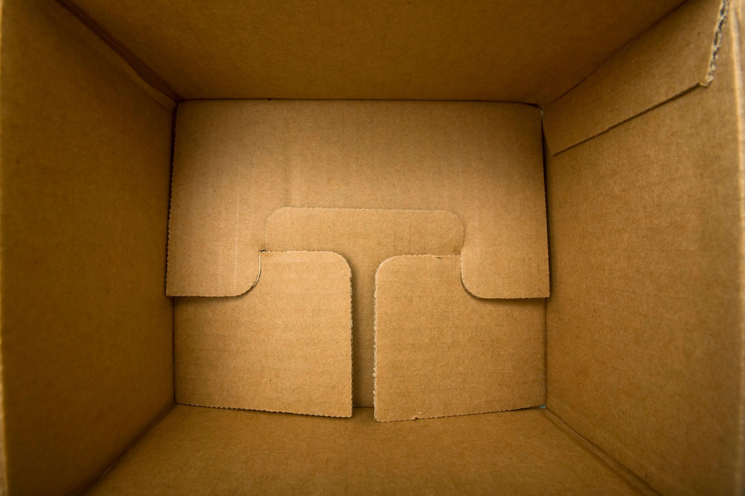 Packaging visual representing brand presentation and marketplace readiness